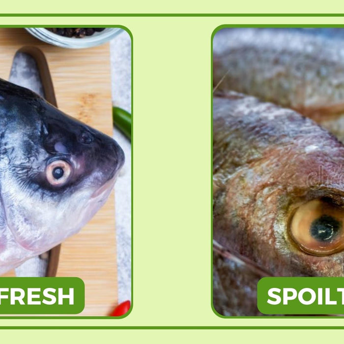 How to identify fish spoilage?