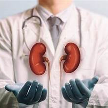 Kidney patients, Is there a direct correlation of any Hazards with Dioxin?