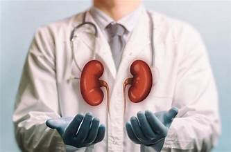 Kidney patients, Is there a direct correlation of any Hazards with Dioxin?