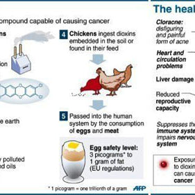 What are Dioxins ? How does it effect our & family's Health ? Read to know more....