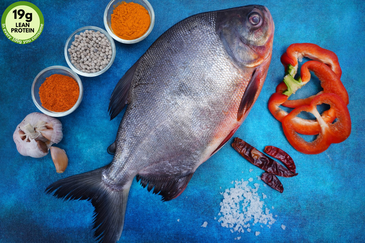 100% Traceable Fish Food Chain to provide Safe and natural rich food ...