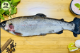 ஹிமாலையன் ட்ரௌட் / Himalayan Trout (Salmon Family) - Steaks- (Net Wt: 500 - 510 gms)